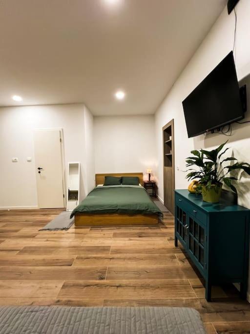 Studio Apartment Joanna Риека Экстерьер фото
